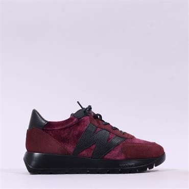 Wonders Odisei Two Tone Bungee Trainer - Burgundy Velvet
